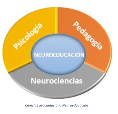 ciencias-asociadas-neuroeducacion