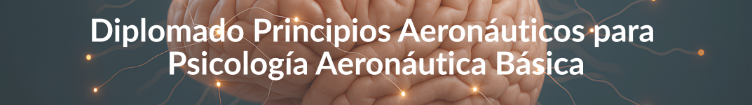 Curso Principios Aeronauticos Curso Principios Aeronauticos